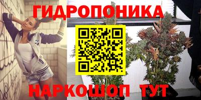 mdpv Волжск