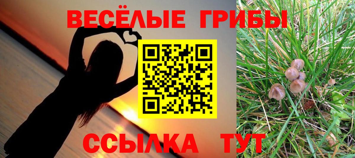 ГАШ  Кокаин  Каннабис  МЕФ   Киреевск  Вход с VPN 