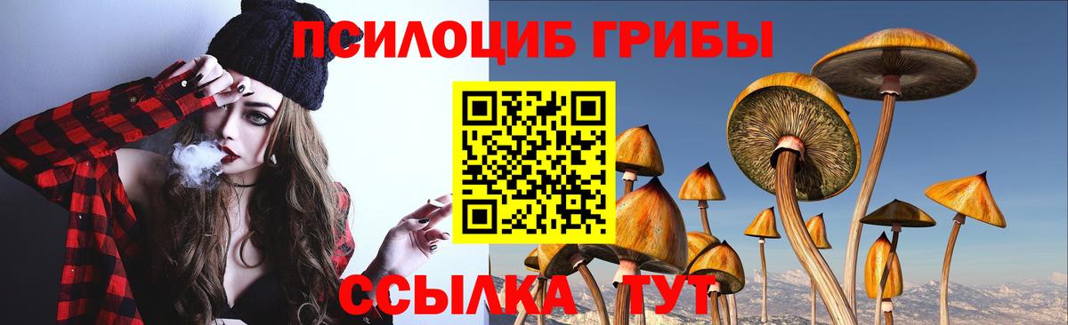 хочу наркоту  Галлюциногенные грибы Psilocybe  Вход с VPN  Киреевск  Псилоцибиновые грибы Psilocybine cubensis 